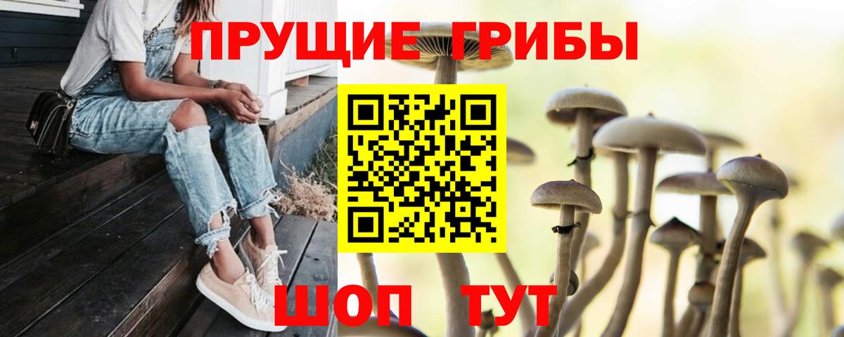 Полысаево  Галлюциногенные грибы ЛСД  Вход с VPN 